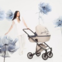 Детская коляска Anex e/type 2 в 1 2023 Eden Детская коляска Anex e/type 2 в 1 2023 Eden