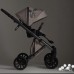 Детская коляска Anex e/type 3 в 1 2023 Eden Детская коляска Anex e/type 3 в 1 2023 Eden