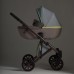 Детская коляска Anex e/type 2 в 1 2023 Wilson Детская коляска Anex e/type 2 в 1 2023 Wilson